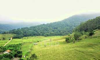 Imagem 2: Terreno com frente para BR-470