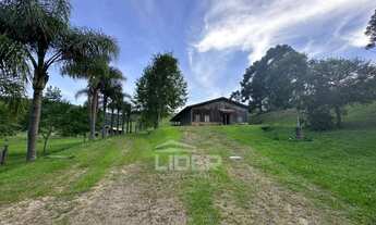 Imagem: Linda Fazenda em Palmeiras com 60 Hectares
