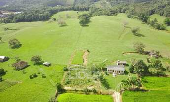 Imagem: Sítio com casa, pastagem, arrozais, próximo