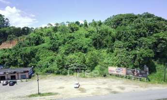 Imagem 5: Terreno na BR 470