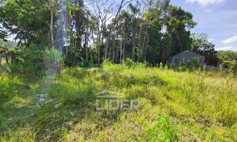 Imagem 6: Terreno com 31,00 metros de frente para a Rua Erechim no Encano do Norte