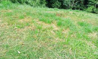 Imagem 7: Terreno no Loteamento Vale Primavera IV