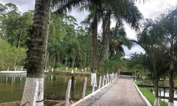 Imagem: SITIO EM GASPAR