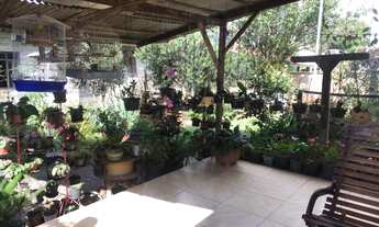 Imagem 3: ![CDATA[Casa Vila Rau]]