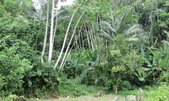 Imagem: ! CDATA Terreno no Chico de Paula