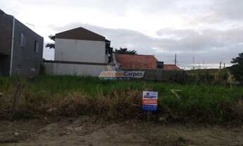 Imagem: Exclusividade - Adriano Carpes Vende Ótimo