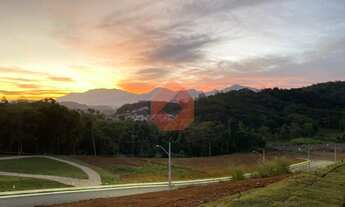 Imagem: Champs Élysées II