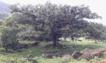 Imagem 2: Sítio em Testo Alto Pomerode