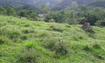 Imagem 6: Sítio em Testo Alto Pomerode