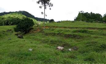 Imagem 7: Sítio em Testo Alto Pomerode