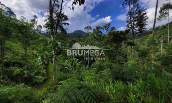 Imagem 7: ![CDATA[Belíssimo sítio Escriturado em Nova Trento !!! Oportunidade.]]