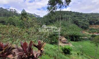 Imagem 3: ![CDATA[Belíssimo sítio Escriturado em Nova Trento !!! Oportunidade.]]