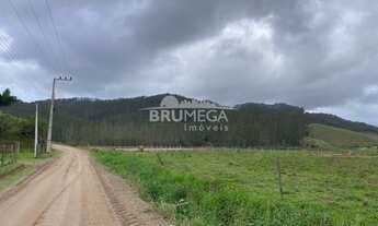 Imagem 3: ![CDATA[Fazenda de eucaliptos .]]