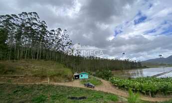 Imagem 4: ![CDATA[Fazenda de eucaliptos .]]