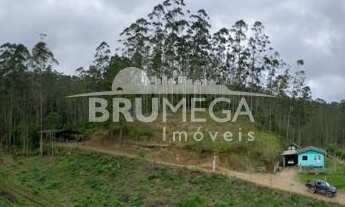 Imagem 5: ![CDATA[Fazenda de eucaliptos .]]