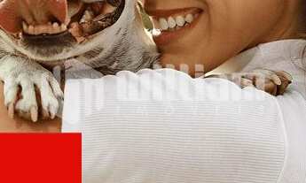 Imagem 3: ![CDATA[LOTEAMENTO TULIPA]]>