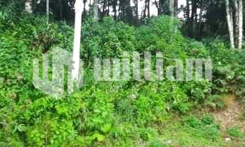 Imagem: ! CDATA TERRENO NA TRAVESSA DOM JOAQUIM