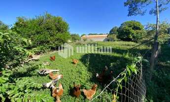 Imagem 5: ![CDATA[TERRENO 2.000M² COM GALPÃO, NA GERAL DO RIO BRANCO ]]