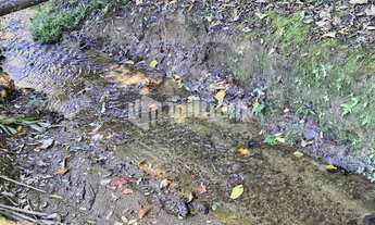 Imagem: ! CDATA LINDO SÍTIO NA GUABIRUBA