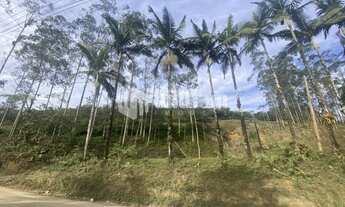 Imagem 3: ![CDATA[AMPLO TERRENO EM DOM JOAQUIM PARA SÍTIO]]