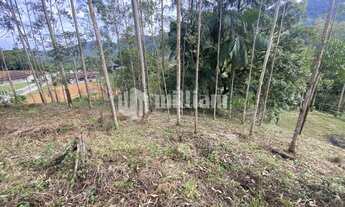 Imagem 4: ![CDATA[AMPLO TERRENO EM DOM JOAQUIM PARA SÍTIO]]