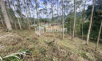 Imagem 5: ![CDATA[AMPLO TERRENO EM DOM JOAQUIM PARA SÍTIO]]