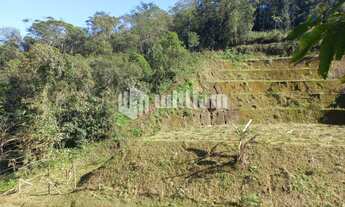 Imagem 3: ![CDATA[EXCELENTE TERRENO NA POMÊRANIA/GUABIRUBA]]