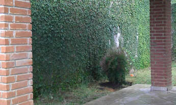 Imagem 6: Casa - Dom Henrique II - Cotia