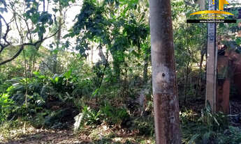 Imagem 2: Terreno à venda no condomínio Terras do Madeira na Granja Viana - Batelli Imóveis