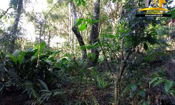 Imagem 5: Terreno à venda no condomínio Terras do Madeira na Granja Viana - Batelli Imóveis