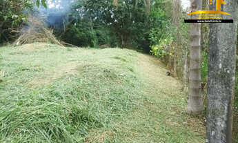 Imagem 5: Terreno à venda na Chácara Represinha em Cotia - SP