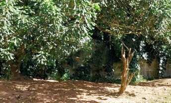 Imagem: Terreno à venda no condomínio San Diego