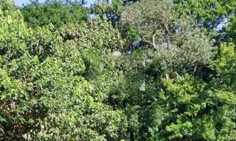 Imagem 2: Terreno à venda no condomínio San Diego Park na Granja Viana - Batelli Imóveis