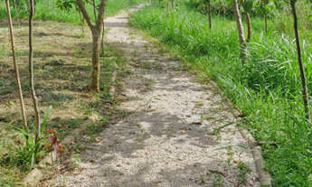 Imagem 5: Terreno - Vitta Granja Viana - Cotia