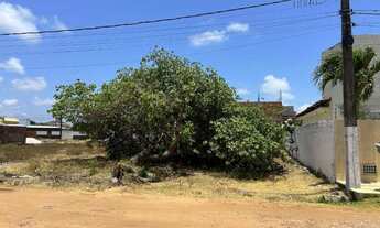 Imagem 2: Temos 02 Lotes de Terreno a Venda no Recanto do Poço, C/200m² 20x20 200 Metros da BR 230