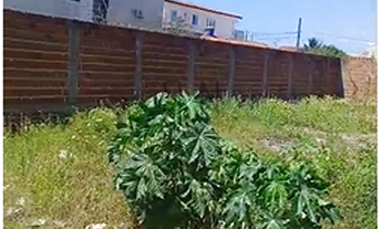 Imagem 2: Lote de Terreno 10x25 Com 250m² no Recanto do Poço