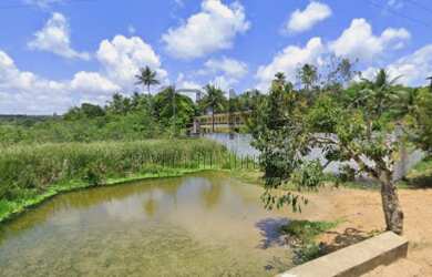 Imagem 2: Vendo lote no Conde Loteamento Jardim Primavera C/2880m² 24x120