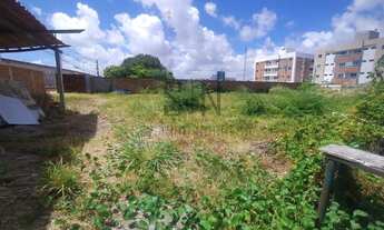 Imagem 7: Lote a Venda em Jardim Camboinha - C/816m² 24,00x34,00 as Margens da BR 230 Sentido Cabed