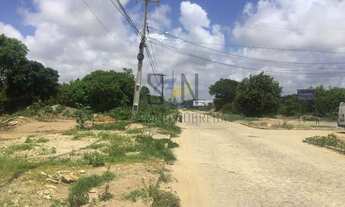 Imagem 6: Vendo Lote no Portal do Sol C/448m² 14x32 Frente Leste ao Lado do condomínio Fechado Bouga