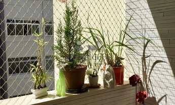 Imagem 5: 2 dormitórios na Rua Baronesa De Itu