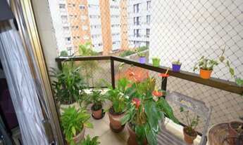 Imagem 3: 4 dormitórios na Rua Cônego Eugênio Leite