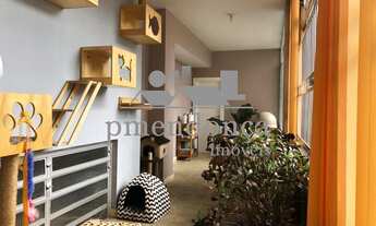 Imagem 3: 4 dormitórios na Rua Maranhão