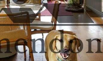 Imagem: 3 dormitórios na Rua Oscar Freire