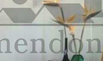 Imagem 6: 3 dormitórios na Rua Cayowaá