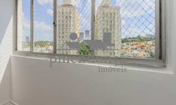 Imagem 3: 3 dormitórios na Rua Dos Caetés