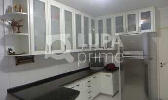 Imagem 6: 3 dormitórios na Rua Damião Alves