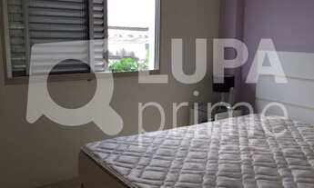 Imagem 7: 2 dormitórios na Rua Capitão Luis Ramos