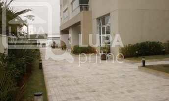 Imagem 7: 3 dormitórios na Rua Luiz Tavares