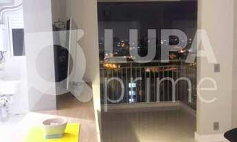 Imagem 4: 3 dormitórios na Avenida Mazzei