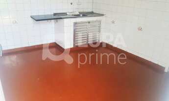 Imagem 6: 3 dormitórios na Rua Padre Leonel Franca